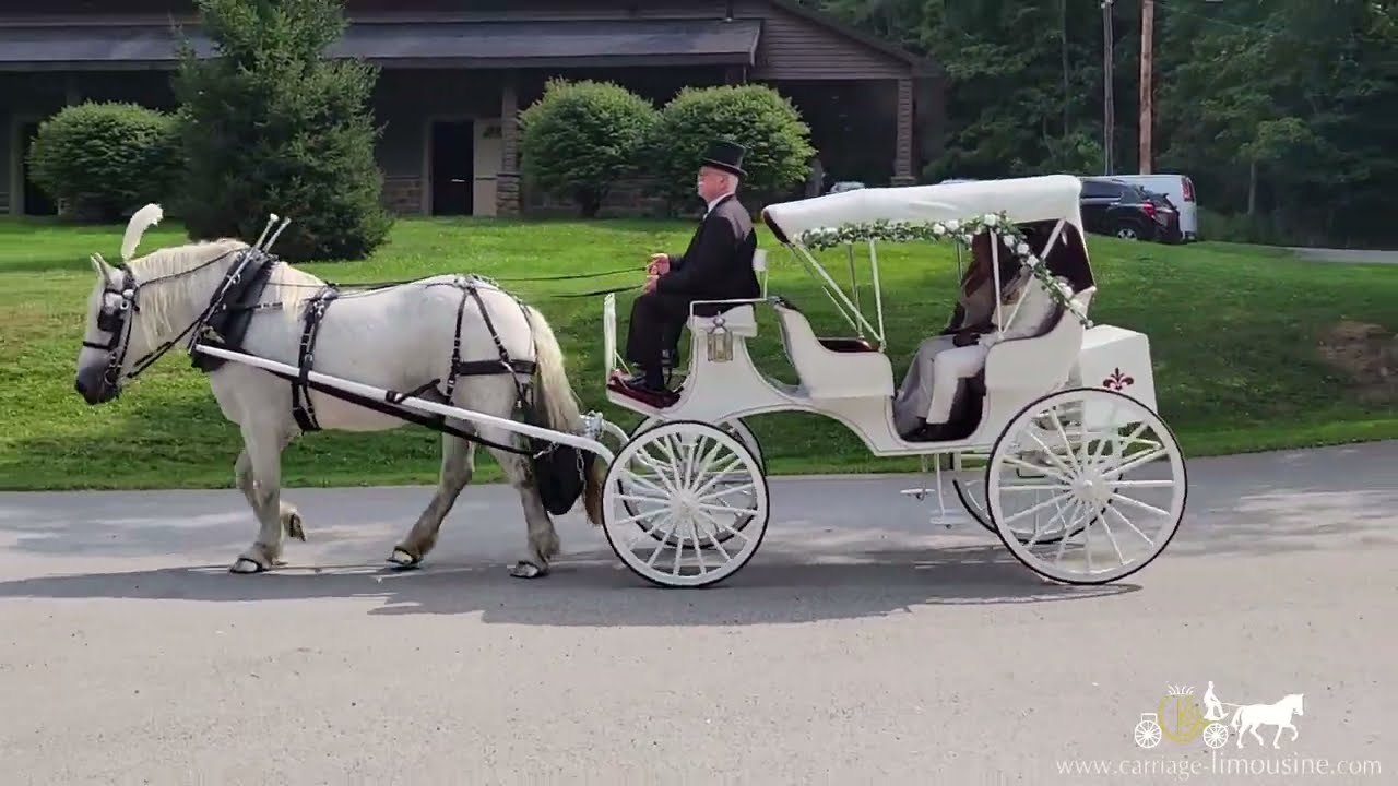 Promotional video thumbnail 1 for Carriage Limousine Service - Horse Drawn Carriages