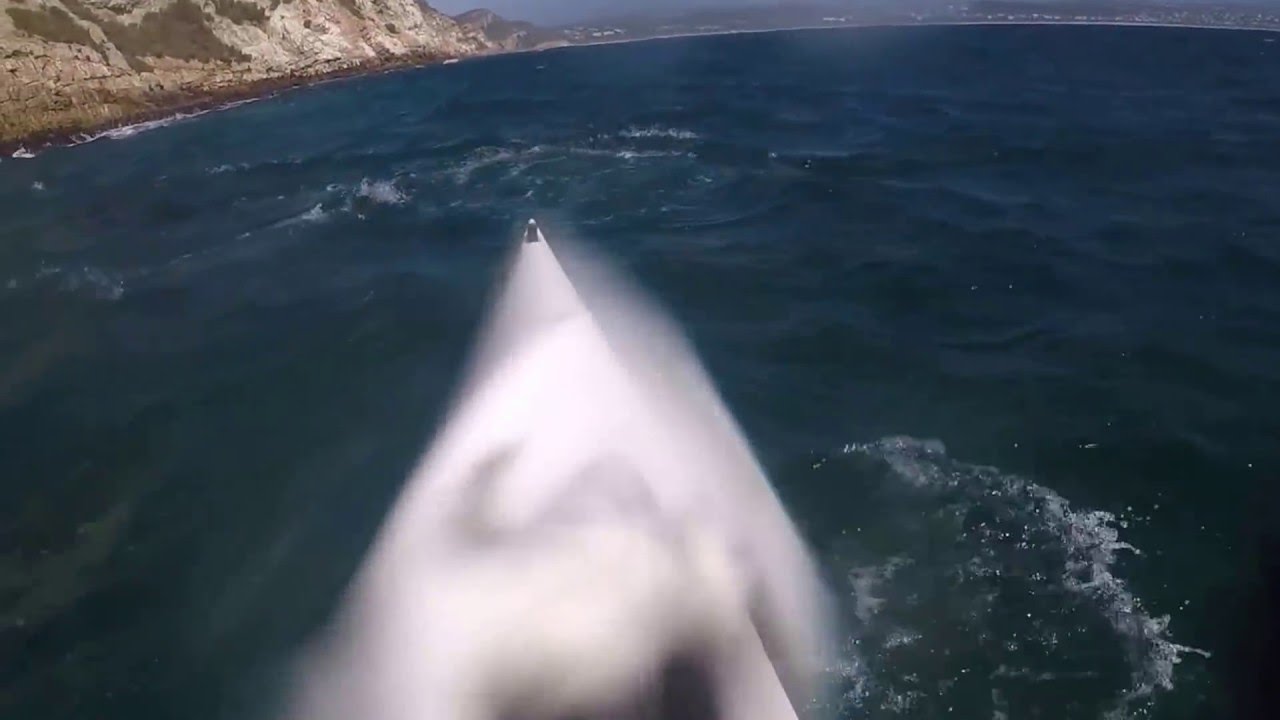 Seal attacks surfski