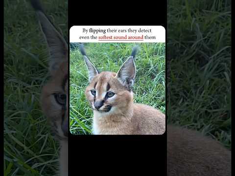 Education and 2 more