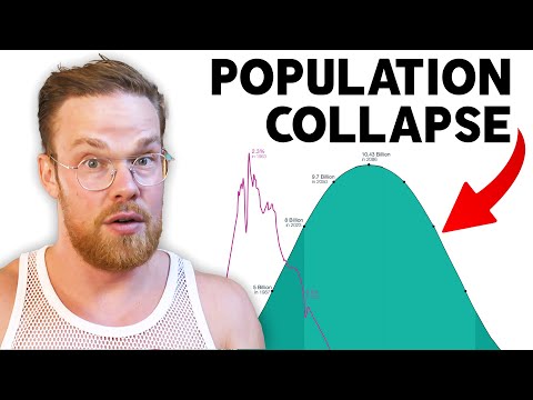 每個人都對這張圖感到恐懼 (Everyone is freaking out about this graph)