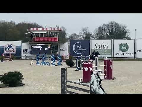 Kto Terminator - first try 135cm CSI* - 2017y, mare, Dominator Z x Cicero Z