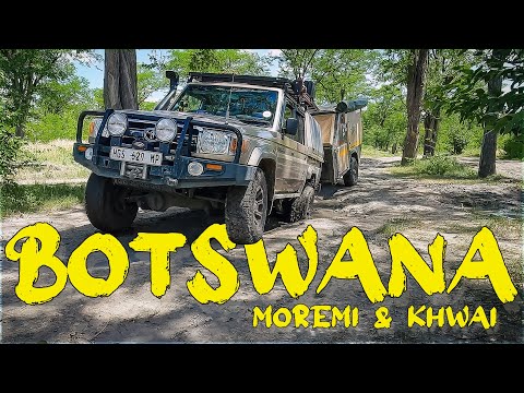 BOTSWANA in the rainy season | Moremi Game reserve, Khwai Magotho
