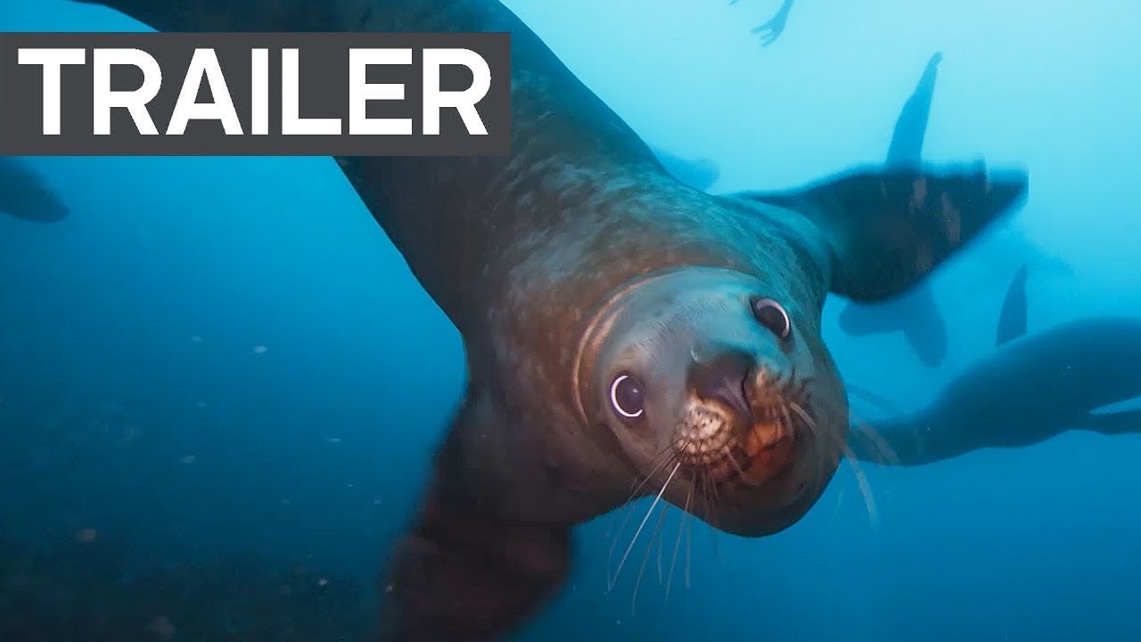 Blue Planet II Official Trailer 2 | BBC Earth - YouTube