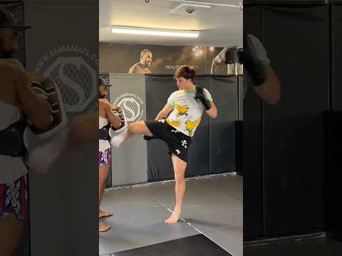 Muay Thai combination #mma