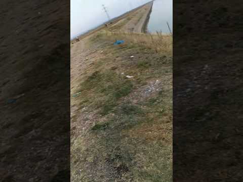 Baraj Beresti 2016 Prima strigare