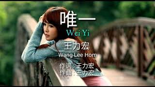 王力宏  Wang Lee Hom  【 Wei Yi 唯一 】