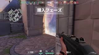 【APEX】暇を持て余している！！【PC】