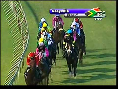 2013-02-19 Greyville - race 4