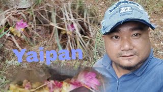 Download lagu Ngac d yaipan thiba chtlubane chandel  mp3