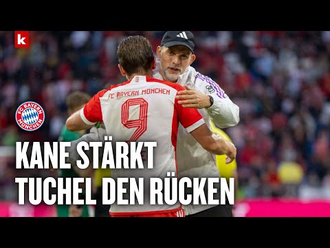 Kane: Wollen Tuchels Zeit bei Bayern mit dem Höhepunkt beenden | Champions League