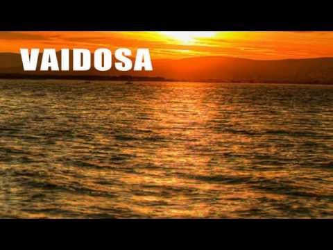 VEM CÁ - BHEAVEN (lyric video) 2015