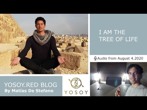 Matías De Stefano - Day 1 - I AM THE TREE OF LIFE - YOSOY.RED BLOG: Crown - Mental - Leo