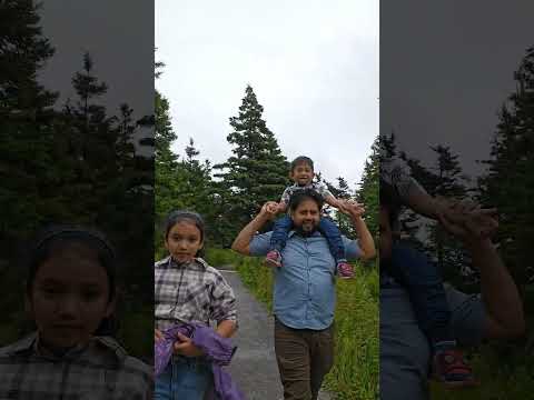 #walk in the forest #nature #