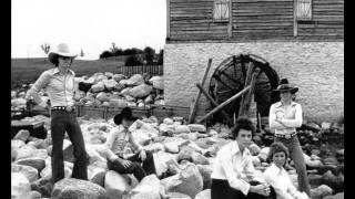 Country Tigers, Happy Times are Here Again