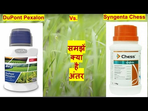 DuPont Pexalon vs Syngenta Chess | World of Agro | Triflumezopyrim | Pymetrozine | Insecticide