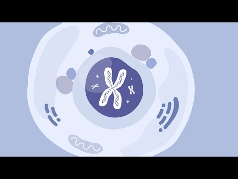 Gene Therapy Basics (2022 Update)