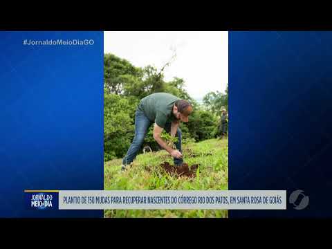 Plantio de mudas de espécies nativas para recuperar nascentes em Santa Rosa de Goiás