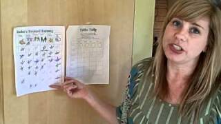 behavioral charts.AVI