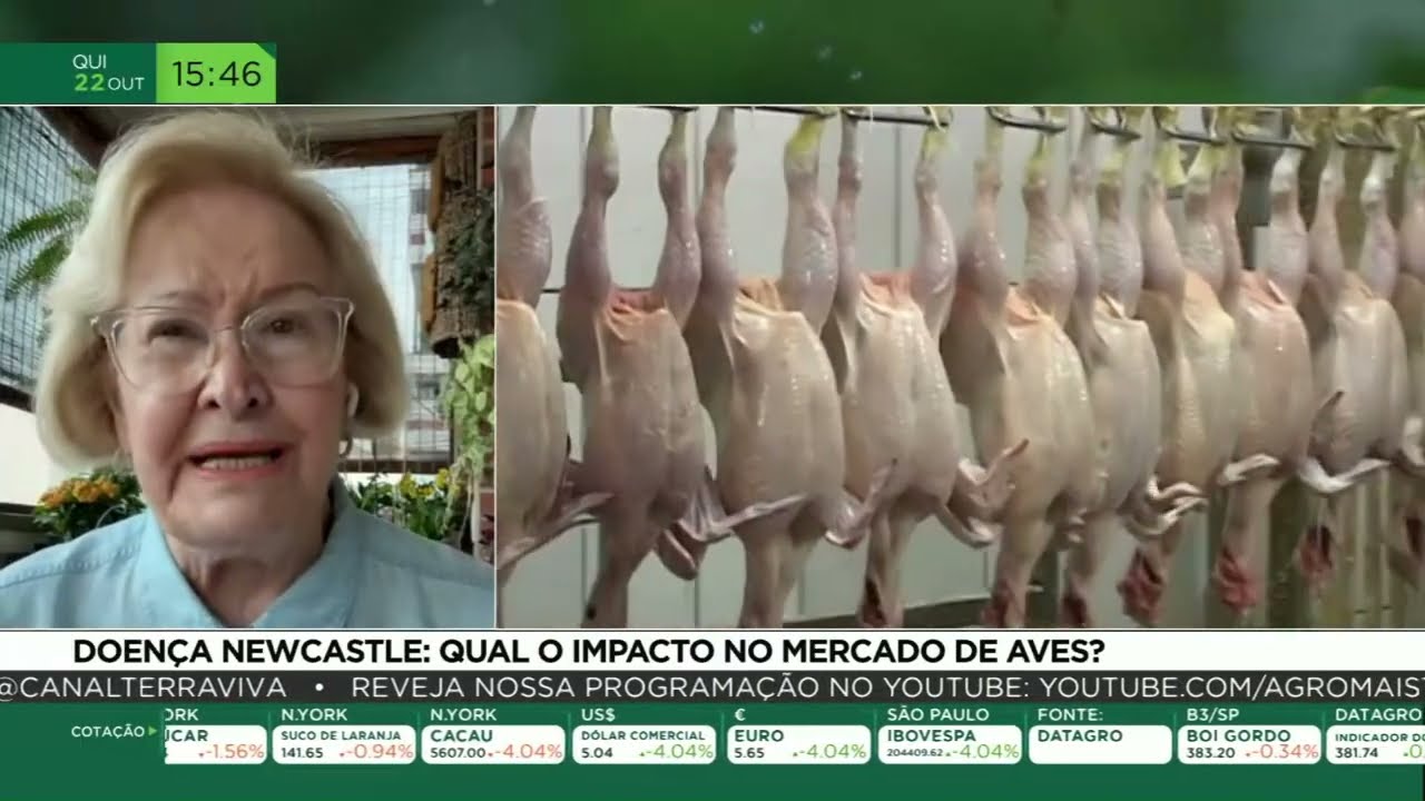 Jornal Agromais- 22/10/2026