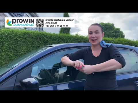 proWIN Window Wonder - Auto