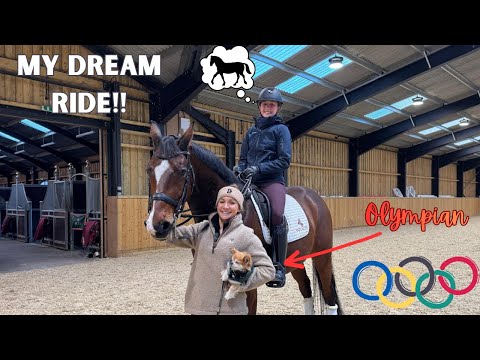 This Grand Prix horse is NEXT LEVEL | Lesson with Olympian Abi Lyle 💥
