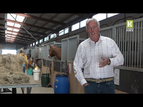 Manege in Woubrugge moet plaatsmaken voor arbeidsmigranten