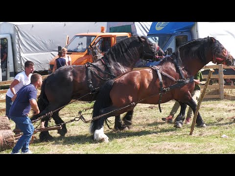 Cai Probe de Tracțiune la Dublu Ceanu Mare - Cluj 15 Iulie 2023