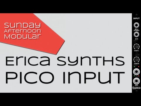 Erica Synths Pico Input 2014 - Present - Black image 5