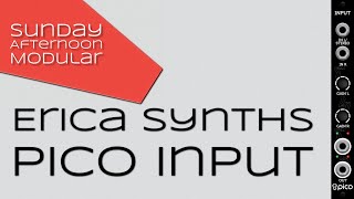 Video thumbnail for Erica Synths Pico Input Introduction by SundayAfternoonModular