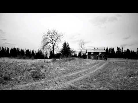 Division Of Laura Lee - Cabin Jam