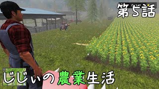 じじぃの農業生活 #5「じじぃ、ヒマワリを収穫するのじゃ」【ファーミングシミュレーター17】