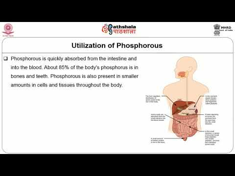 M-25.Distribution, absorption, utilization, sources , deficiency and  toxicity of Phosphorus