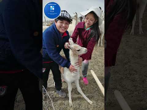 Visita a Santiago de Machaca Parte 1