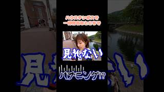 ハウステンボスで一番有名なところでハプニング⁉️【ちびげらもん切り抜き】#shorts #ちびげらもん #旅行vlog #ハウステンボス #長崎 #切り抜き