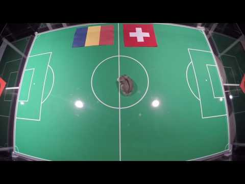 Blues Brothers Radio3i PRONOSTICO ROMANIA - SVIZZERA del criceto Jean Jacques Aeschlimann