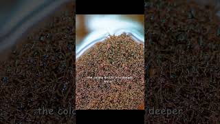 Download lagu The next thing you see is an ant life raft! #wildlife #animals #shorts mp3 Download lagu The next thing you see is an ant life raft! #wildlife #animals #shorts mp3