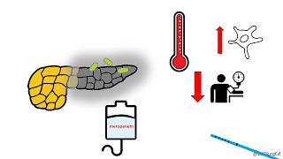 Re: [] FuwaFuwa 軟趴趴因胰臟炎住院