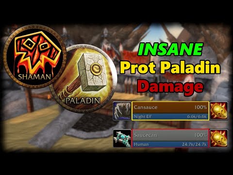 Crazy Prot Paladin Damage vs Priest Feral