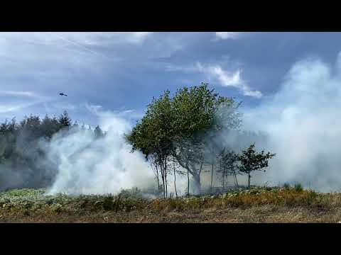 30.000 Quadratmeter Fläche brennen in St. Thomas