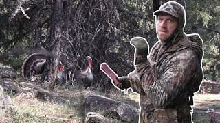 Slow Play Gets the Strut Show! | 2023 Phelps Turkey Camp (Part 2/3)