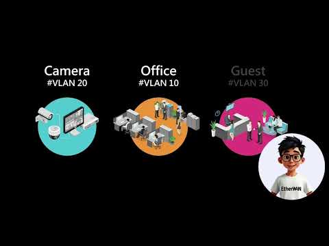 VLAN basics on managed switches: quick setup logic overview