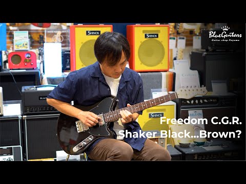 FREEDOM CUSTOM GUITAR RESEARCH Shaker L.W.Ash2P/R Black…Brown?  [BG] image 15