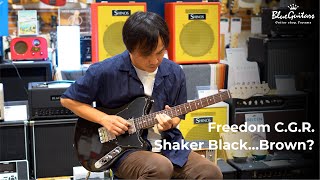 Video thumbnail for Blue Guitars - FREEDOM CUSTOM GUITAR RESEARCH / Shaker L.W.Ash2P/R Black…Brown? by Blue Guitars