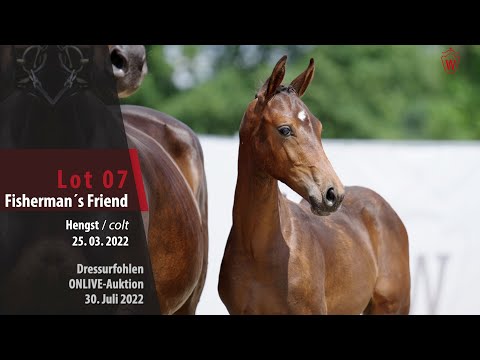 OnLive-Auktion Lot 07 Fisherman´s Friend Hengst v. Fynch Hatton - Van Vivaldi