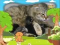 BabyTV Bim And Bam Cats English
