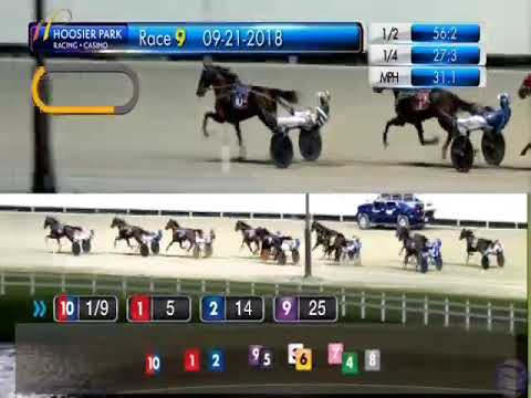 Manchego - 2018 Moni Maker