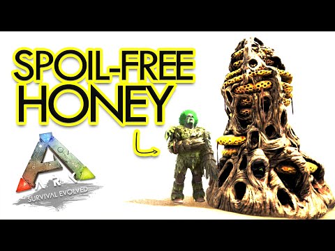 Honey Hacks in ARK You Need to Know