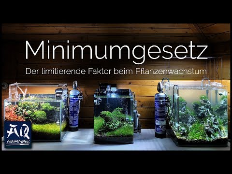 DAS LIEBIGSCHE MINIMUMGESETZ | limitierende Faktoren beim Pflanzenwachstum | AquaOwner