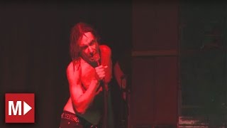 Iggy And The Stooges - Night Theme | Live in Sydney | Moshcam