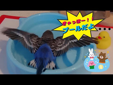 子供の屋外ゲーム、楽しいアクティビティ、子供の庭、休暇、2018 年夏